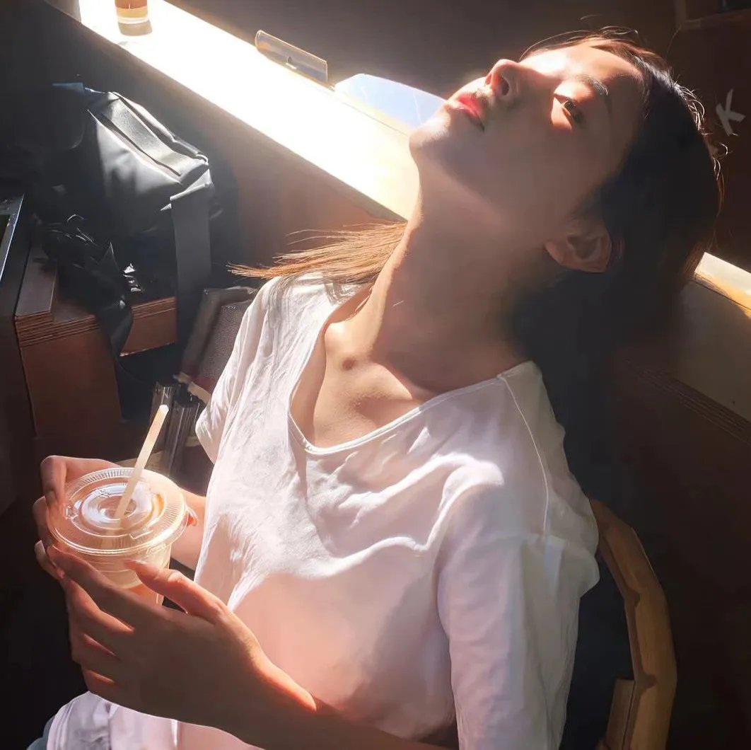 面目全飞封面